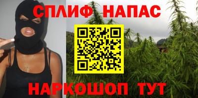 МДПВ Моздок